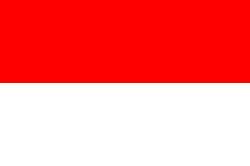 Logo Indonesia Women