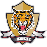 Logo Tigres U19